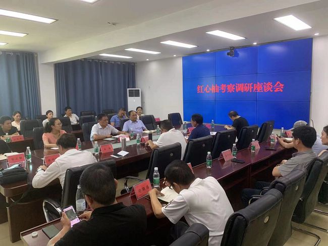 重庆市专家团献策丰都县红心柚产业发展